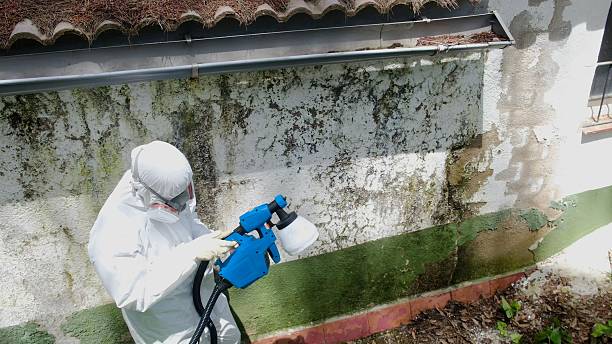 Top rated local Mold Remediation specialists in Spring Mills, PA